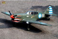 VQ Model - Curtiss P-40 Warhawk EP/GP 60-90 Size ARF Kit image