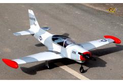 VQ Model - SIAI-Marchetti SF-260 EP/GP 60 Size ARF USAF image